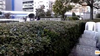洛克王国手游:揭秘石系精灵强者榜哪些是你的最爱-全民游戏网